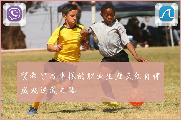 贺希宁与李根的职业生涯交织自律成就逆袭之路