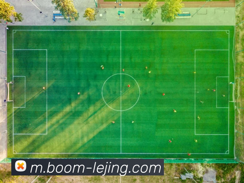 乐竞体育平台生态图